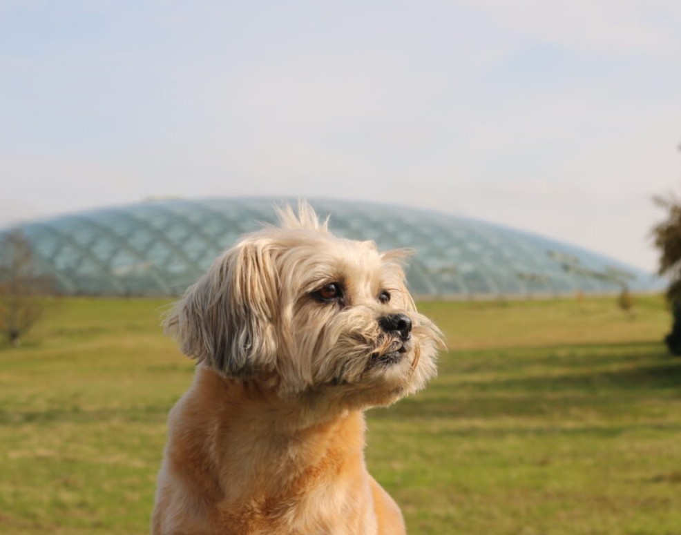 National Botanic Garden of Wales