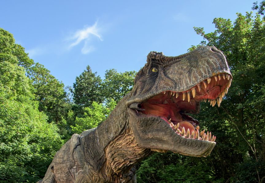 Combe Martin Wildlife & Dinosaur Park