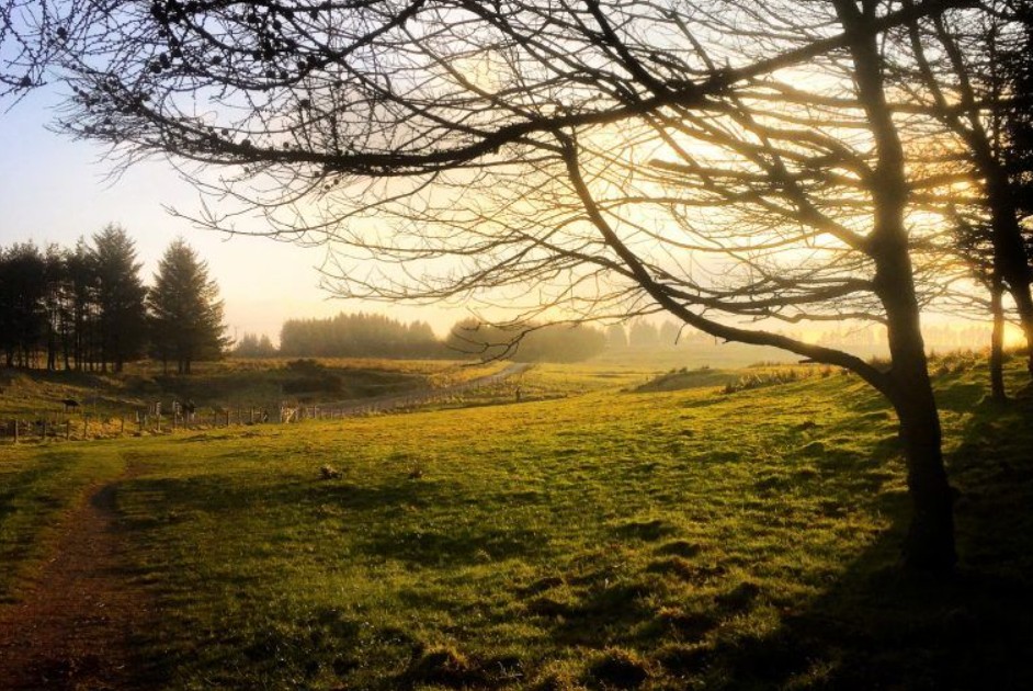 Parks like Gleniffer Braes offer a fab free and healthy day out...