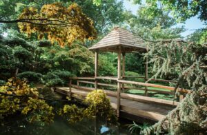 Japanese Garden in Cornwall