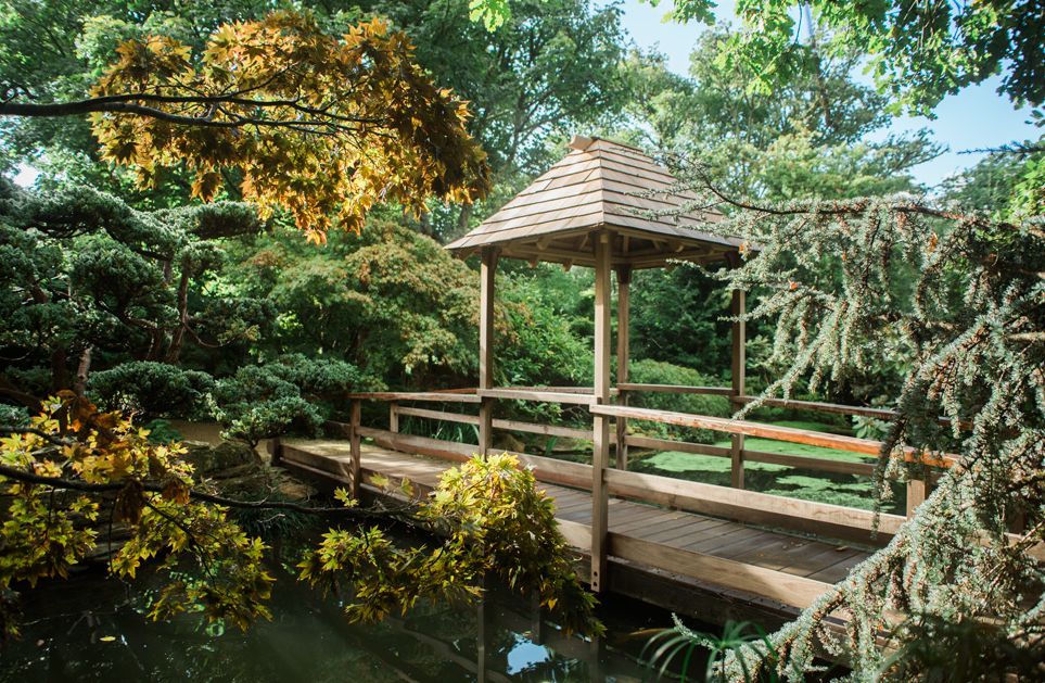 Japanese Garden in Cornwall