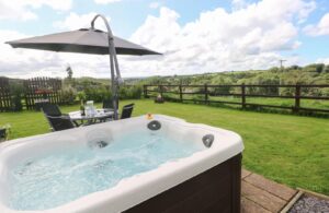 Must-See Pet Friendly Pembrokeshire Cottages with Hot Tubs