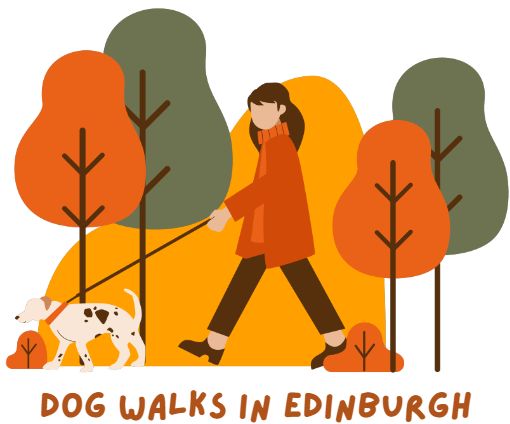 Best Scenic Dog Walks Around Edinburgh