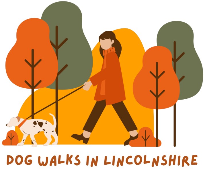 Dog Friendly Days Out In Lincolnshire