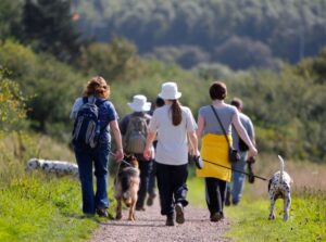 Dog Friendly Days Out in Buckinghamshire