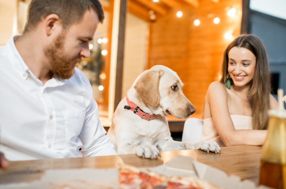 Dog-Friendly Dining Options