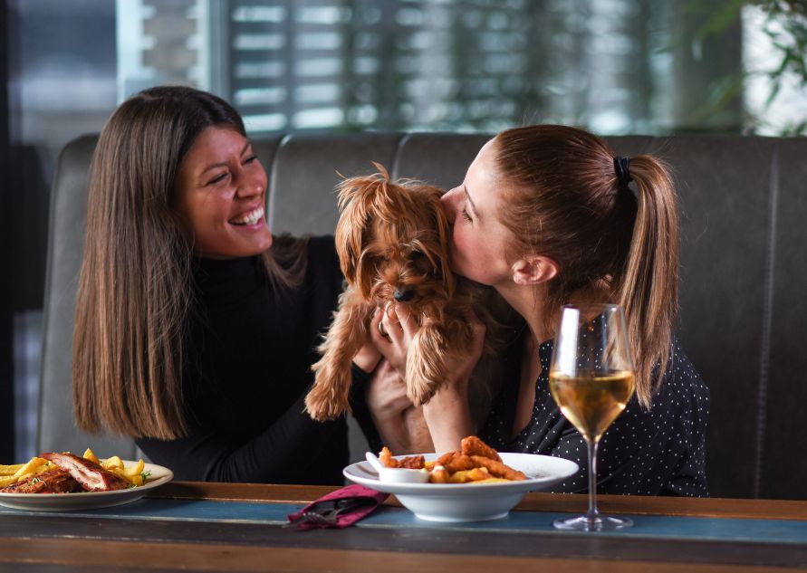 Dog-Friendly Dining Options in Derbyshire