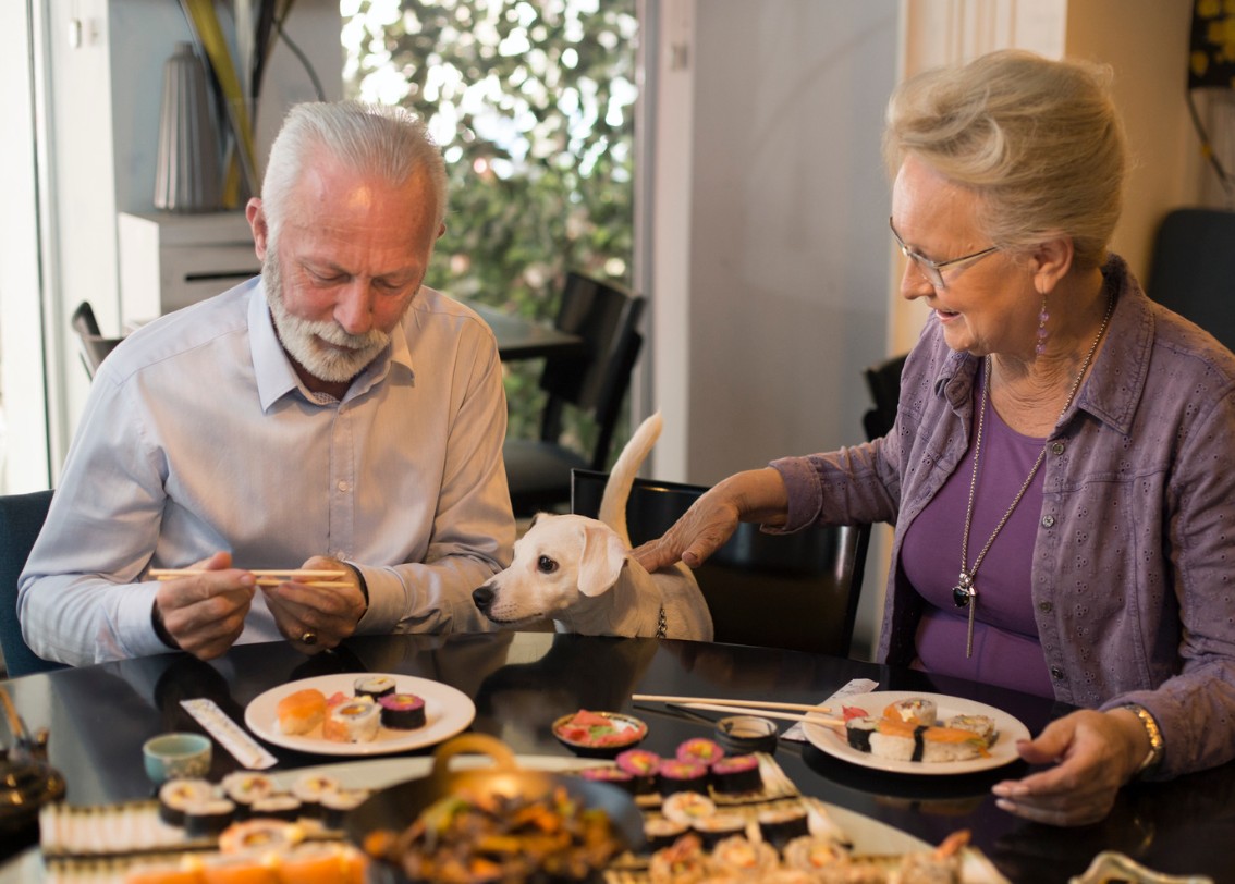 Dog-Friendly Dining in Anglesey