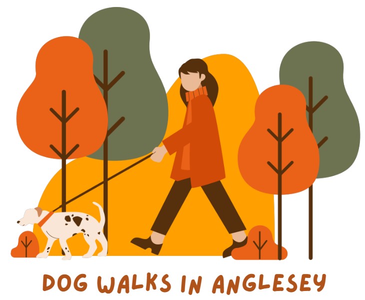 Dog-Friendly Walks in Anglesey