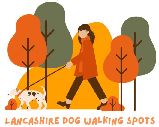 Dog-Friendly Walks in Lancashire