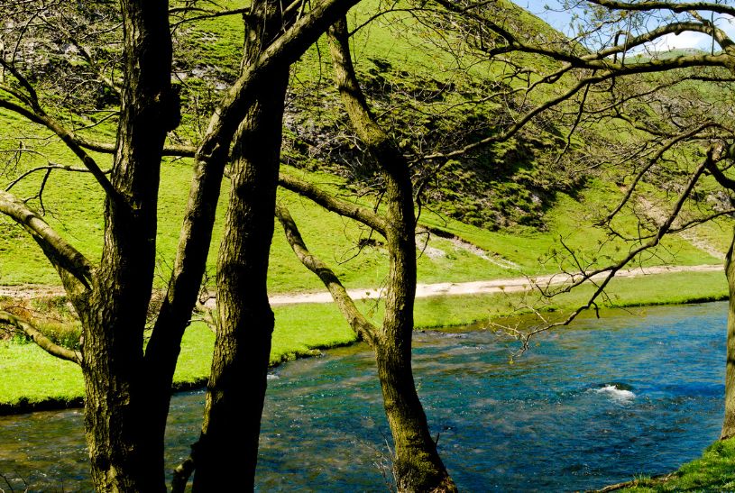 Dog friendly walks in Dovedale