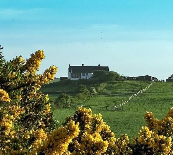 Ilfracombe Cottages with Hot Tubs and Coastal Views