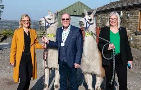 Llama Trekking at The Wellbeing Farm