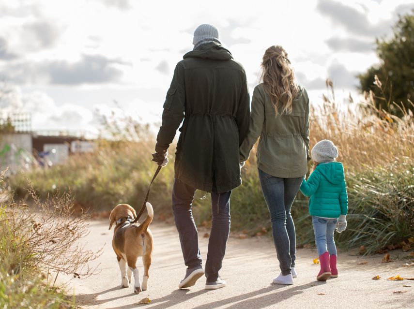 Memorable Dog-Friendly Days Out in Pembrokeshire