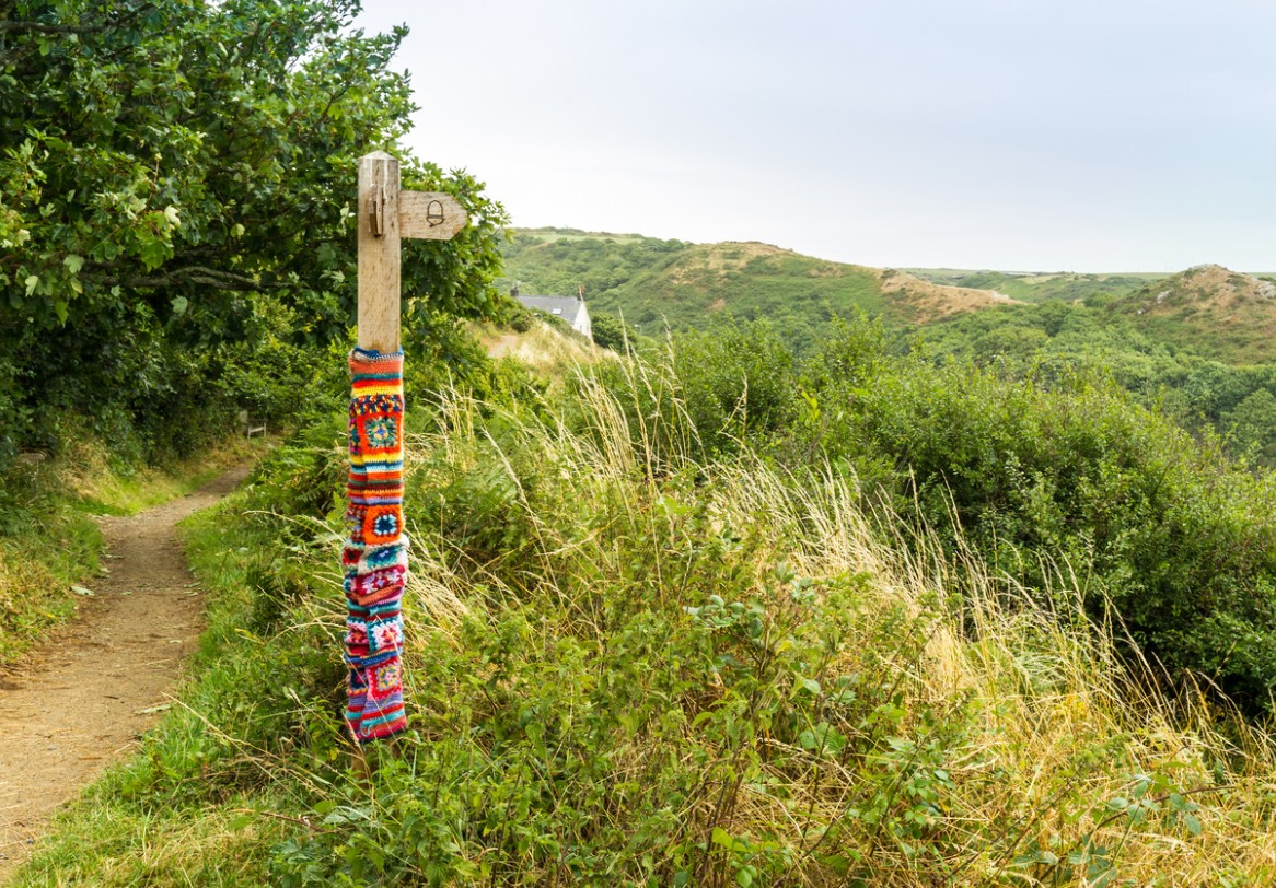 You and your dog will love Pembrokeshire Coast Path