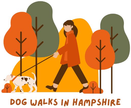 The Best Places to Take Dogs in Hampshire