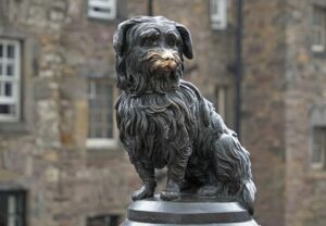 Things to Do with a Dog in Edinburgh