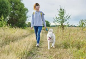 Unmissable Things to Do in Derbyshire with Your Dog