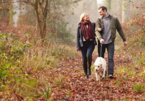 Where to Go Dog-Friendly Days Out in Gloucestershire