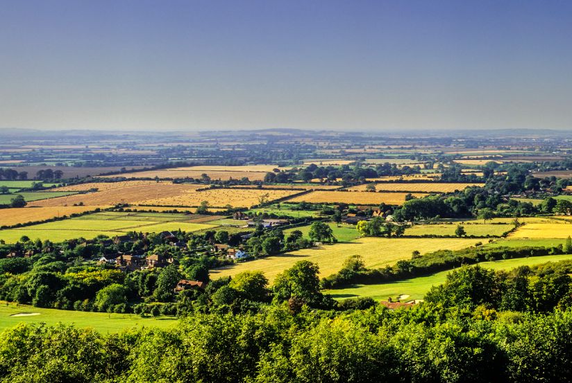 dog friendly days out in Buckinghamshire